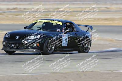 media/Nov-11-2023-GTA Finals Buttonwillow (Sat) [[117180e161]]/Group 4/Close Ups/